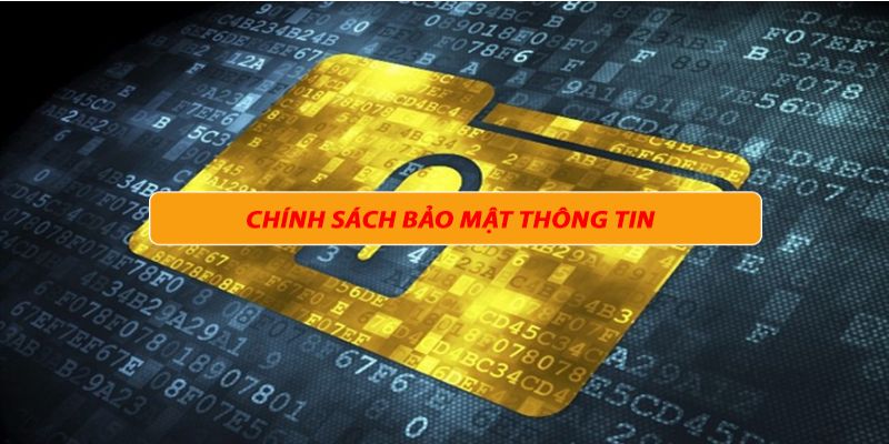 Điều khoản trong chính sách bảo mật