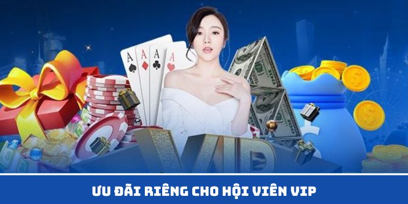 Hội viên vip khuyến mãi Kubet